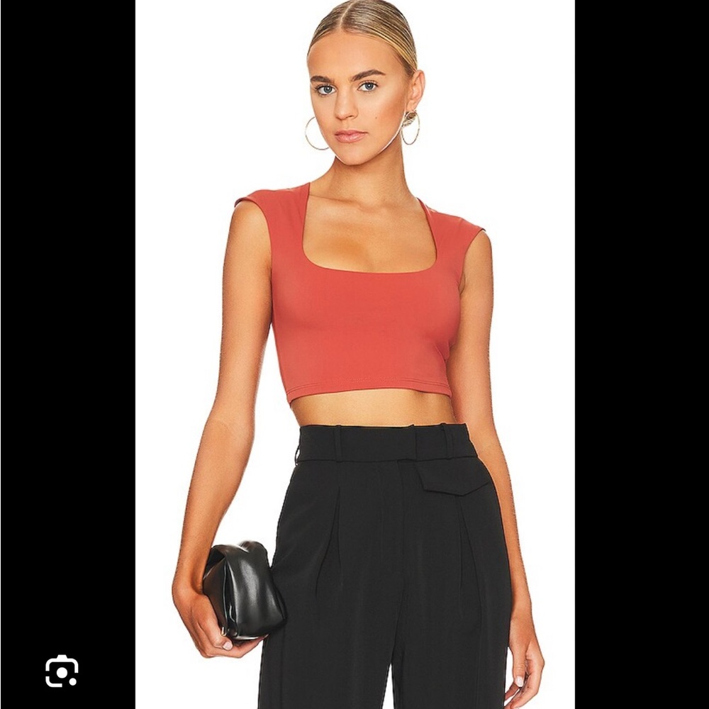ALIX NYC Nadine Crop Top in Terra Cotta